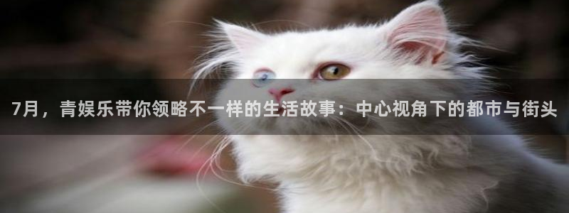 AB娱乐：7月，青娱乐带你领略不一样的生活故事：中心视角下的都市与街头