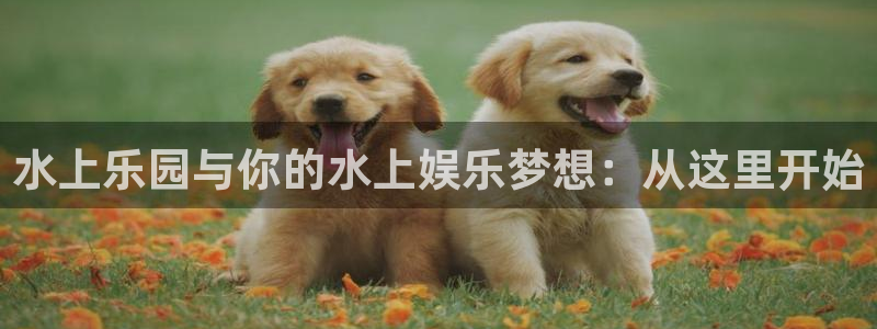 AB娱乐：水上乐园与你的水上娱乐梦想：从这里开始