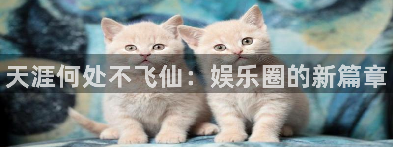 AB娱乐：天涯何处不飞仙：娱乐圈的新篇章