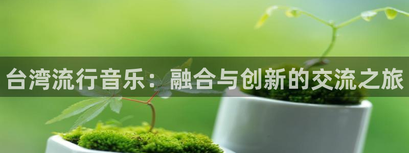 AB娱乐：台湾流行音乐：融合与创新的交流之旅