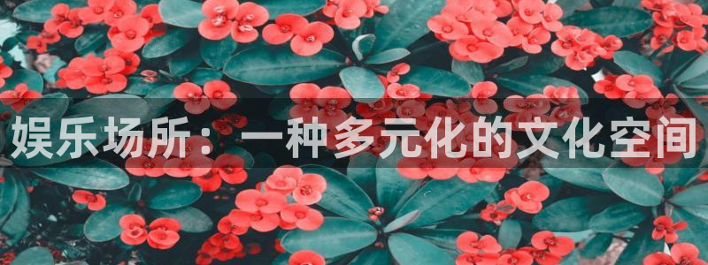 AB娱乐：娱乐场所：一种多元化的文化空间