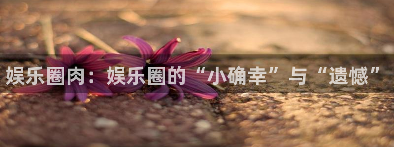 AB娱乐：娱乐圈肉：娱乐圈的“小确幸”与“遗憾”