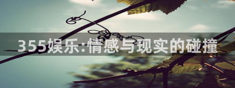 AB娱乐：355娱乐:情感与现实的碰撞