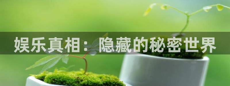 AB娱乐：娱乐真相：隐藏的秘密世界